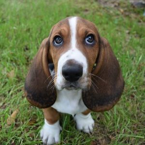 Meet your Posher, Chelsea